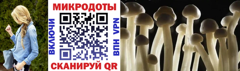 Галлюциногенные грибы Psilocybine cubensis  Дзержинск 