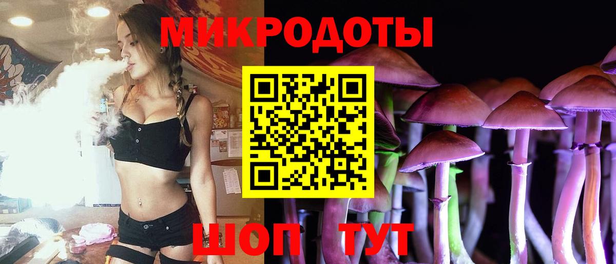 Дзержинск  Галлюциногенные грибы Psilocybine cubensis  Вход с VPN 