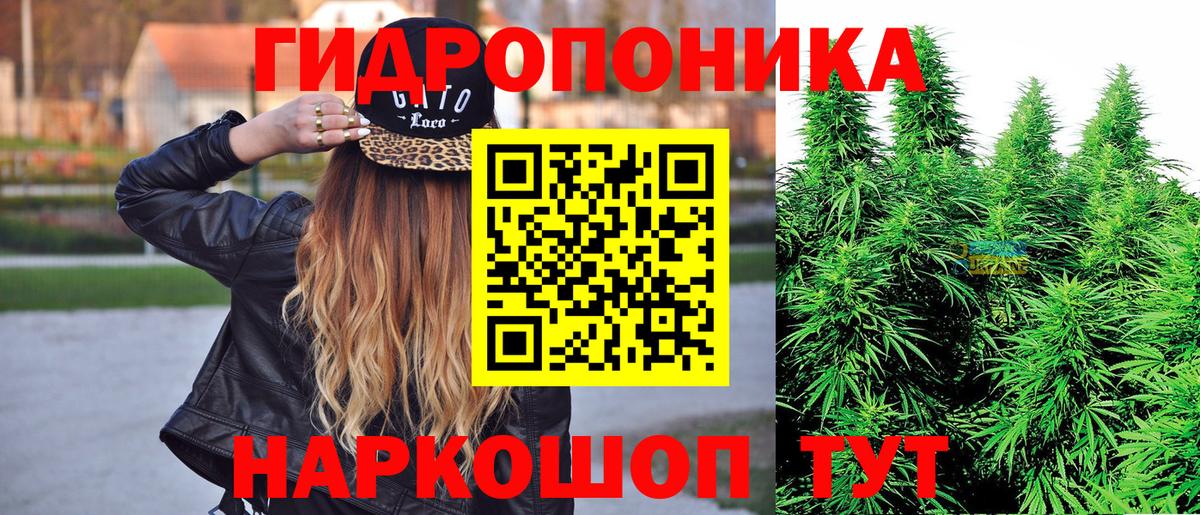 Канабис SATIVA & INDICA  Каннабис семена  Вход с VPN  Каннабис Amnesia  Дзержинск 