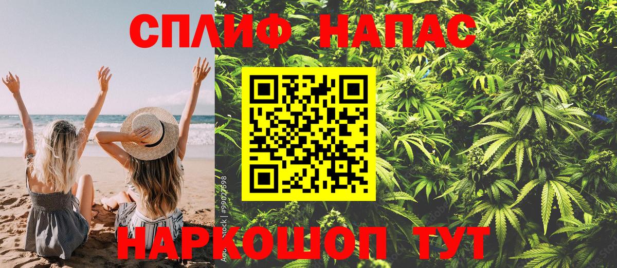 Каннабис ГИДРОПОН Дзержинск